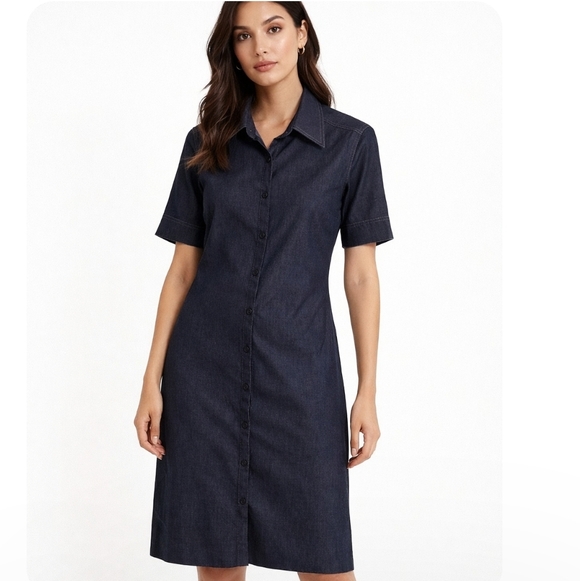 cleo Dresses & Skirts - Cleo | Lux Button-Down Demin Shirt Dress